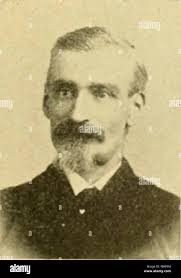 Ok bee hi-res stock photography and images