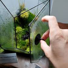 I unwrapped it carefully, dreading the discovery of a shard of glass or the tinkle of broken crystal. Pin On Plants