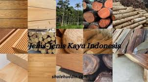 Selain digunakan untuk rumah produk kayu mahoni juga menjadi pilihan dalam. 18 Jenis Jenis Kayu Indonesia Yang Harus Kita Ketahui Beserta Fungsi