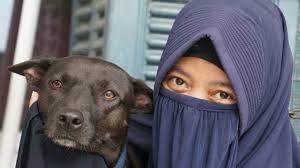 Romain cannone / underdog romain cannone wins gold. 3 Kisah Perempuan Berjilbab Yang Pelihara Anjing Kumparan Com