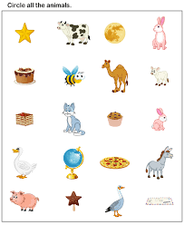 Animal Theme Preschool Worksheets Animals Worksheets Animal Worksheets Animal Activities For Kids Preschool Worksheets
