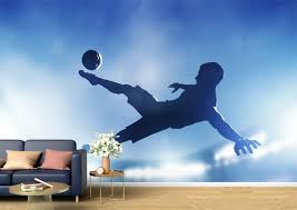 Image result for fotbal foarfeca