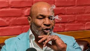 Mike Tyson claims rich people hunt homeless for sport in weed-fueled Joe  Rogan interview