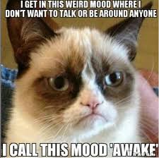 Https Www Facebook Com 456752354392268 Photos A 456753111058859 525984144135755 Type 3 Funny Grumpy Cat Memes Grumpy Cat Humor Grumpy Cat Quotes
