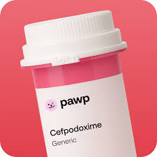 Image result for Cefpodoxime