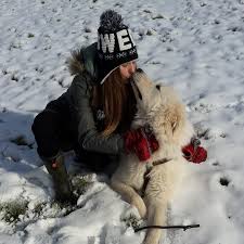 The hero's journey comprises of a series of events that together create an excellent story. Vita S Little Journey Home Facebook