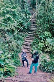 I 2021 har vi 16 feriehus du kan velge blant i nærheten av bukit gasing. Stairways To Heaven Hike Trail Petaling Jaya Selangor Malaysia Pacer