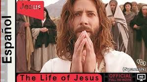 Tisha Branch's Instagram, Twitter & Facebook