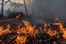 A fire that broke out in northern wexford county on tuesday is now fully contained. Suspicious Wildfire In Northern Michigan Forces Evacuation