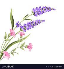 Elegant Card With Lavender Flowers In Watercolor Paint Style The Lavender Frame And Text Lavender Bouquet For Flower Painting Flower Drawing Lavender Flowers