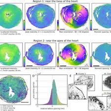 Maybe you would like to learn more about one of these? Jan David Nicolas S Research Works Georg August Universitat Gottingen Gottingen Gaug And Other Places
