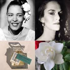 DSH Perfumes DON'T EXPLAIN