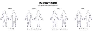 Your Journal Insanity Workout Log
