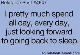 26 hilarious funny quotes you won t stop laughing at funny quotes funny quotes