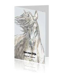 Rouwkaart Met Een Getekend Paard Rouwkaart Paarden Kaarten