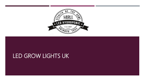Die premium growboxen von urban chili, garantieren dir gute ernten das ganze jahr über Led Grow Lights Uk