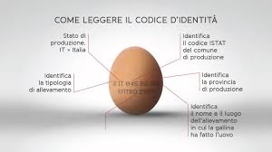 I rischi sono infatti connessi alla salmonella. Come Leggere Il Codice D Identita Dell Uovo Youtube