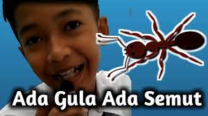 Mymemory, world's largest translation memory. Peribahasa Ada Gula Ada Semut Youtube