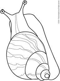 Have fun coloring this sea snail coloring page from sea animals coloring pages. Snail Coloring Page Audio Stories For Kids Free Coloring Pages Colouring Printables