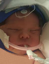 Obituary for Henry Lucas Nerat