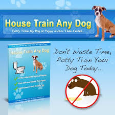 Do you know how to stop a dog who. Learn The Secrets To Completely Potty Train Any Dog Or Puppy Quickly And Easily In 7 Days House Training Dog Potty Training Dog Potty