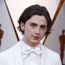 Oscar nominee Timothee Chalamet gets a 'Sweet' Chinese nickname