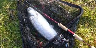 The 6 Best Rods For Trout Fishing In 2020 By Experts