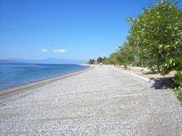 Στη θάλασσα σταμάτησαν οι φλόγες στον οικισμό σηπιάδα δυτικά της λίμνης στην εύβοια αφού στην πορεία τους μέχρι εκεί. Eikona Paralia Koxyli Limnh Eyboia Eviagreece