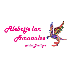 Alebrije Inn Amanalco Hotel