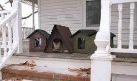Outdoor Cat Care: Are heated houses safe for feral/stray cats ...