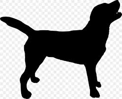 He wasbob parr's former employer at insuricare. Labrador Retriever Silhouette Puppy Clip Art Png 1000x822px Labrador Retriever Black Black And White Carnivoran Companion