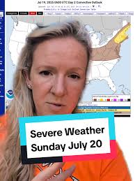 Trees, branches, and power lines down between New Boston NH & Mont Ver...