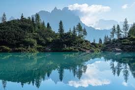 Join a we value nature virtual office hour on 27 august to discuss, discover and share natural capital resources and. 7 August 2020 Kwerfeldein Magazin Fur Fotografie