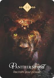 Spirit Animal Colette Baron Reid Oracle Queen Founder Of Oracle School Animal Totems Spirit A In 2020 Spirit Animal Totem Animal Spirit Guides Spirit Animal