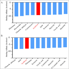Image result for Xeroderris stuhlmannii