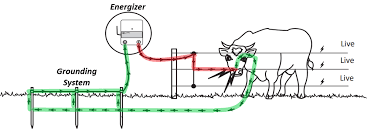 Electric fence circuit diagram 12v the back shed energiser amazing energizer for perimeter protection trendy wiring nice electric fence wiring diagram photo electrical and wiring picture of simple electronic fencer. Where To Start How To Build An Electric Fence Gallagher Fence