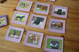 Verbinde bilder mit texten, um das große bild darunter zu blumenbilder pexels kostenlose stock fotos. Gross Und Klein Montessori Selbst Gemacht