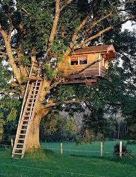 Fire escape on the apartment building. Not Found Tree House Diy Tree House Cool Tree Houses