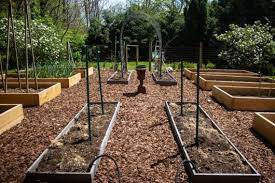 This, rather than run your string trellis all the time, you just grab a piece of panel and plunk it in the garden. My Cattle Panel Trellis Kevin Lee Jacobs