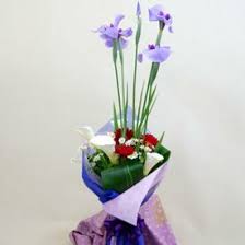 Tango no sekku (端午の節句), also known as ayame no hi (iris festival), is one of the five annual ceremonies that were traditionally held at the japanese imperial court called gosekku. æ¥½å¤©å¸‚å ´ ç«¯åˆã®ç¯€å¥ èŠ± ã‚¬ãƒ¼ãƒ‡ãƒ³ Diy ã®é€šè²©