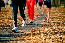 15 Minutes of Physical Activity Is Linked to a Longer Life | Time