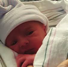 SUMMER CONCERTS AT LEVITT SHELL PICNIC PERFECT RECIPES ALL ABOUT BABIES