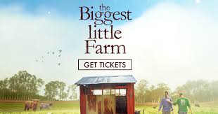 This engaging, quirky film begins and ends with california's recent forest fires and chronicles todd gets to roam free on the biggest little farm. Biggest Little Farm Home Neon