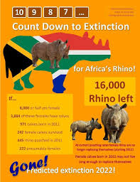 How Long Till South Africa S Rhino Are Extinct Animals Are Beautiful People Extinction Animal Lover