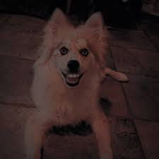 The demon is a rejected concept of the tricky and auditor crossover in madness combat 11, as confirmed by krinkels. 9 Demon Dogs That Want To Haunt Your Dreams And Eat Your Soul