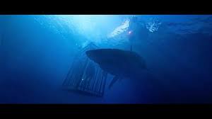 Video Sobre La Pelicula A 47 Metros Estreno De Segunda Parte En Verano 2019 La Noche De Eitb