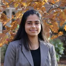 Image result for Tristachya rehmannii