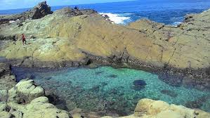 Maybe you would like to learn more about one of these? Laguna Pantai Wediombo Gunungkidul Jogja Kedai Susu 01 Wonosari
