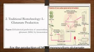 Fermentative Production Of L Glutamic Acid Youtube