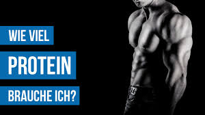 Eben diesem thema ist ernährungsberater und krafttrainer philipp rauscher in seinem buch „optimale ernährung für bodybuilder und kraftsportler nachgegangen. Wie Viel Protein Brauche Ich Pro Tag Uebungen Ws